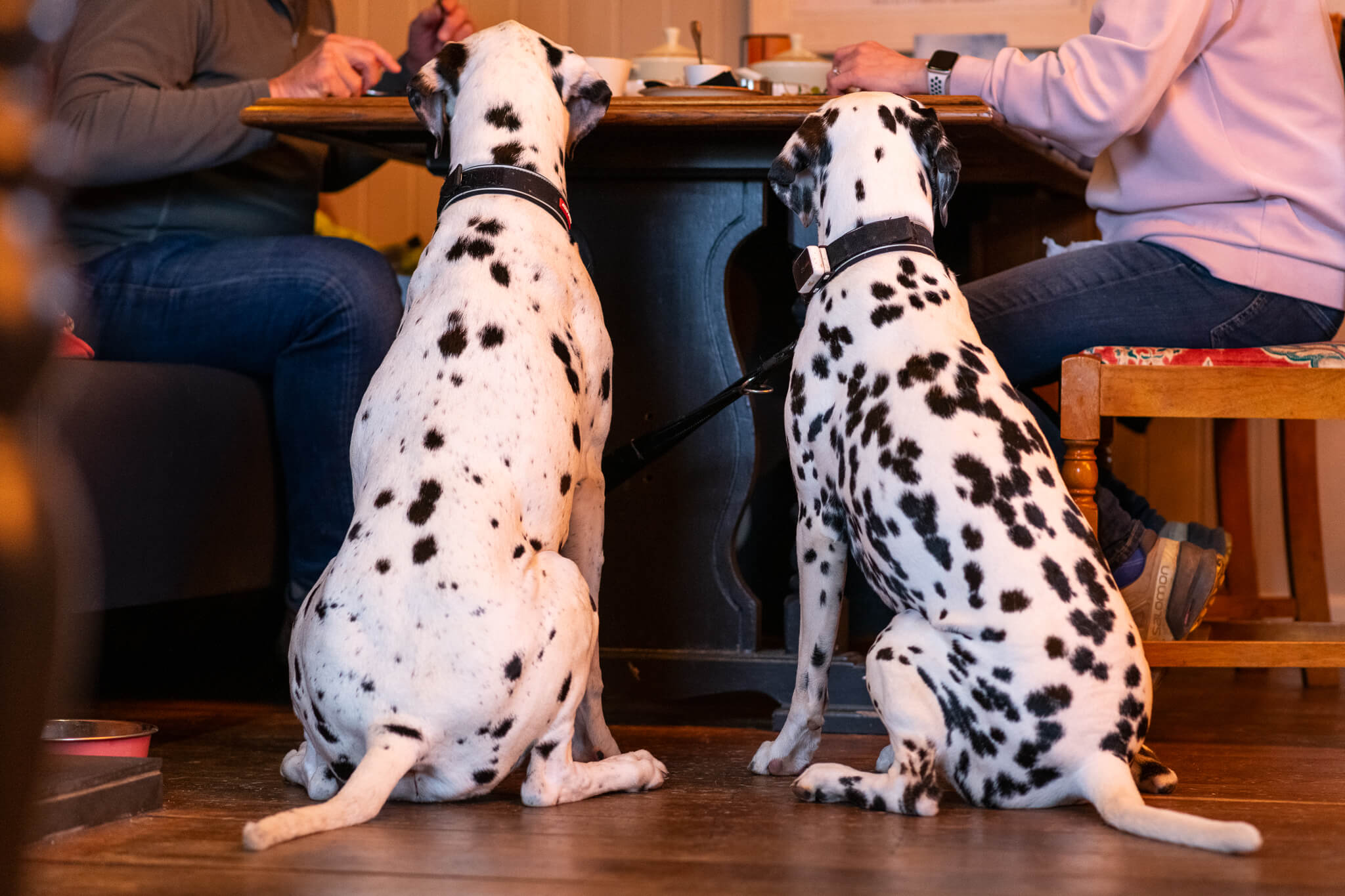 The Moorland Hotel A Pet Friendly Hotel